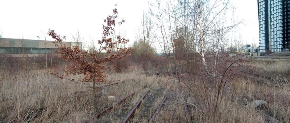 5,5 hektara pokolejowych terenów, na których powstaje Park Henrykowski.