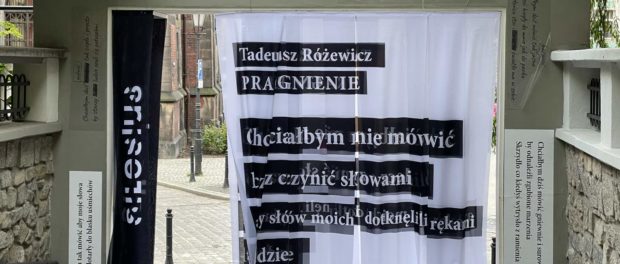 Różewicz w Zaułku Solnym (fot. kaj)