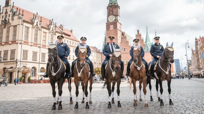 fot. Straż Miejska Wrocławia